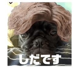698081260