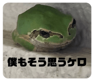698081550
