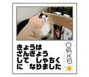 698081569