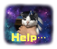 698081570