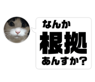 698081573