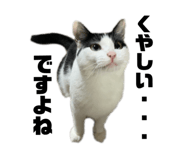 698081579