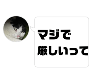 698081583
