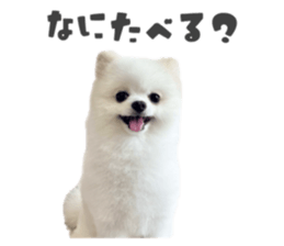 698085464