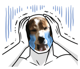 698085513