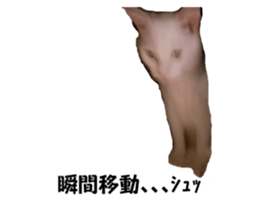 698085527