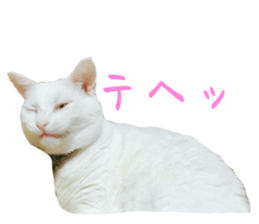 698085531