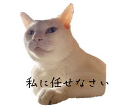 698085554