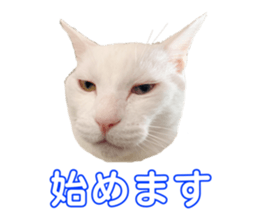 698085560