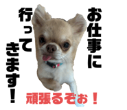 698112891