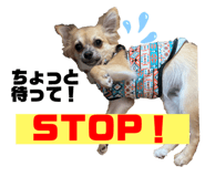 698112895
