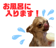 698112916