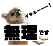 698112923
