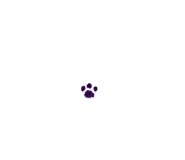 698125764