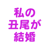 698131706