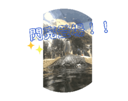 698165257