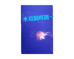 698165268