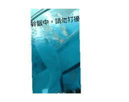 698165269