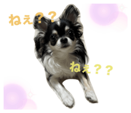 698171235