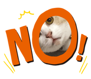 698183642