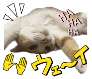 698183657