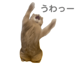 698191170