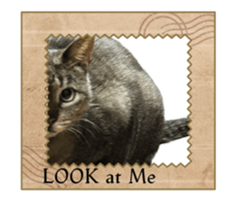 698201319