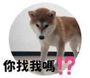 698207307