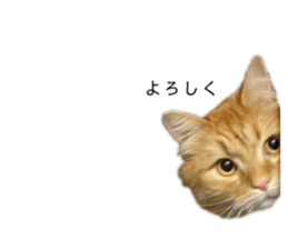 698213797
