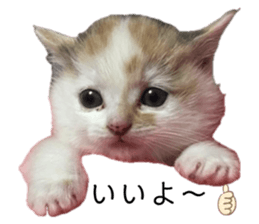 698232885