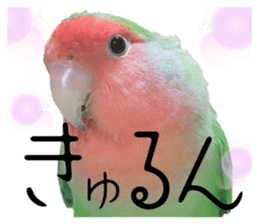 698237463