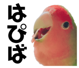 698237469