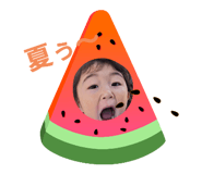 698254666