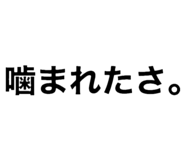 698449982