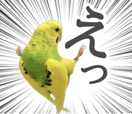 698463659