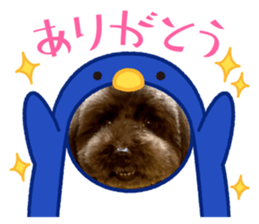 698486438