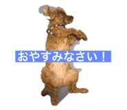 698502104