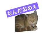 698509505