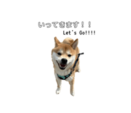 698541284