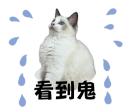 698559335