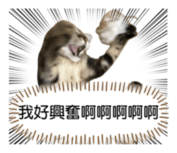 698559355