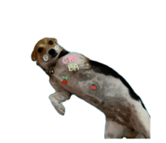 698685508