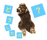 698741500