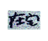 698744036