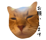 698765040