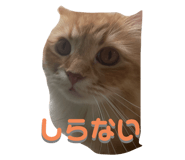 698765044