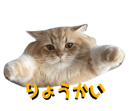 698765051