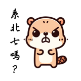 698770245