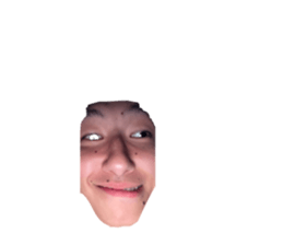 698778544