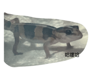 698811308